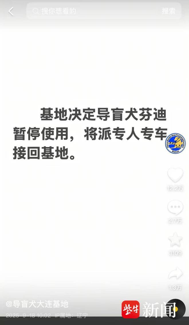 引争议业内人士：导盲犬能否登山需经专业综合评估冰球突破豪华版app视障人士携导盲犬雨夜爬泰山(图2)