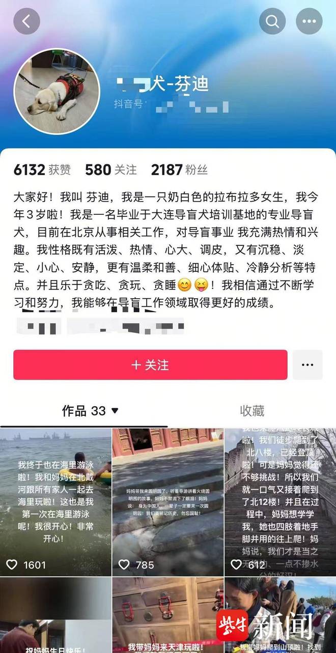 引争议业内人士：导盲犬能否登山需经专业综合评估冰球突破豪华版app视障人士携导盲犬雨夜爬泰山(图3)