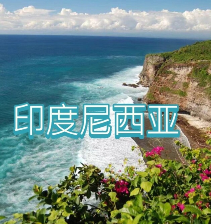 国国际电商(印尼)产业博览会冰球突破爆百万大奖2025中(图3)