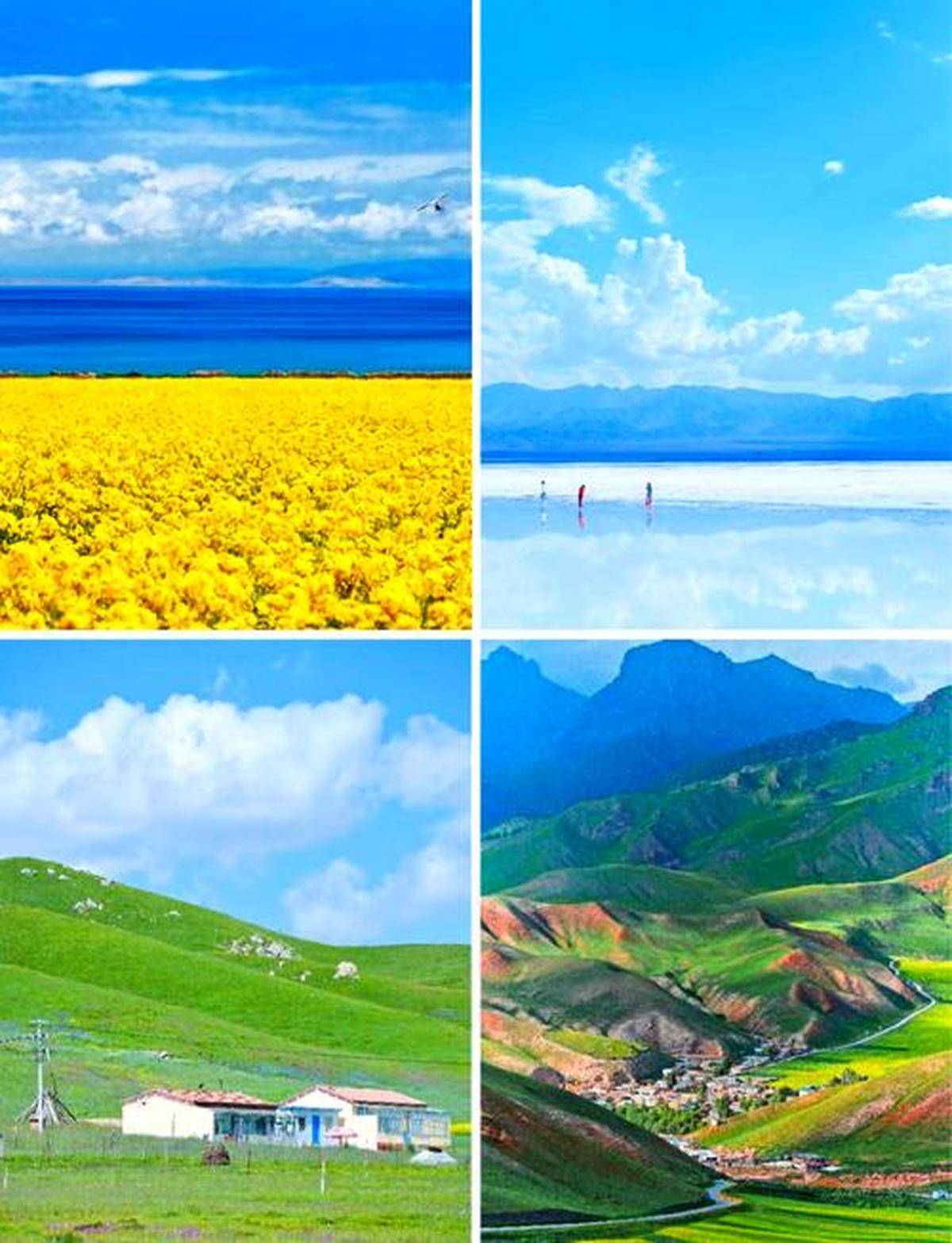 推荐：内蒙古、青海热门景区盘点冰球突破正规网站草原自驾游攻略(图3)